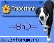 > > forum <
